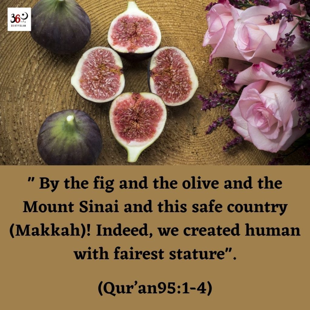 THE HEALTH BENEFITS OF THE FIGS FRUIT IN ISLAM 3 S I X T Y I S L A M